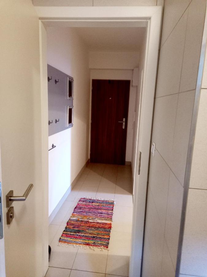 Apartmany Za Sneznikem Dolní Morava Exterior foto